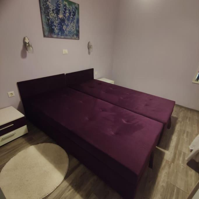 Apartman Den,Rovinj Oaza U Centru Grada I Besplatnim Parkingom公寓 外观 照片