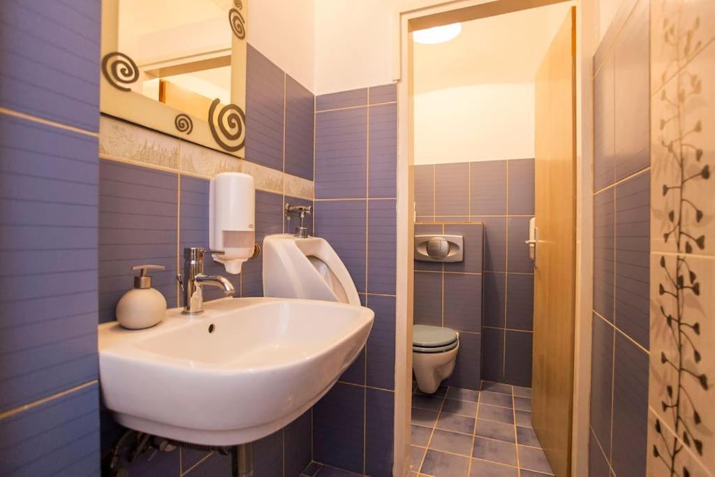 Apartman Den,Rovinj Oaza U Centru Grada I Besplatnim Parkingom公寓 外观 照片