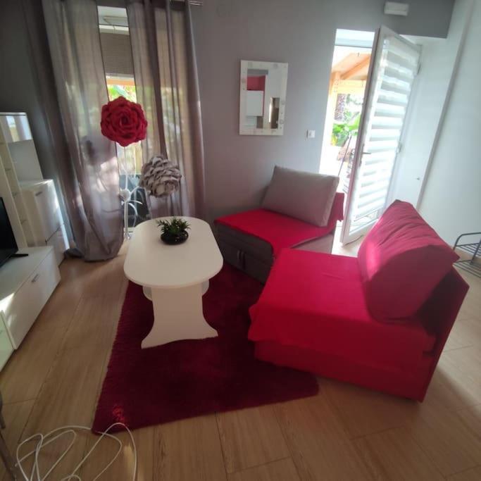 Apartman Den,Rovinj Oaza U Centru Grada I Besplatnim Parkingom公寓 外观 照片