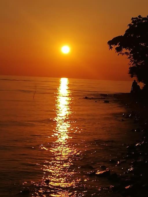Apartman Den,Rovinj Oaza U Centru Grada I Besplatnim Parkingom公寓 外观 照片